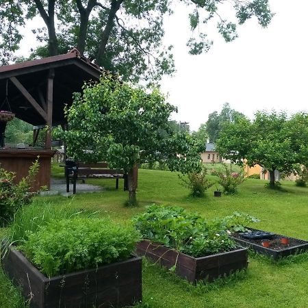 Mija Apartman S Vinnym Sklipkem, Zahradou A Grilem Kájov エクステリア 写真